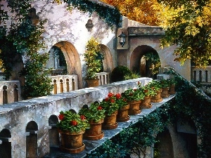 house, front, picture, terrace, Flowers