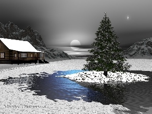 house, christmas tree, moon