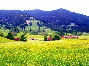 Houses, field, Mountains, forest