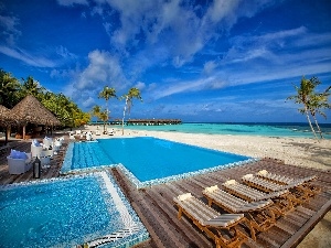 Houses, deck chair, Pool, Palms, sea