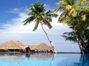 Houses, sea, Palms, clouds