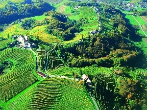 Houses, woods, Slovenia, field