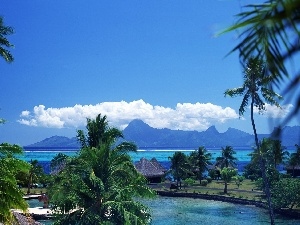 Houses, Palms, tropics, Islands