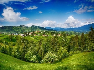 woods, Houses, Mountains