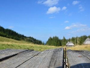 Houses, bridges, Zakopane, Meadow