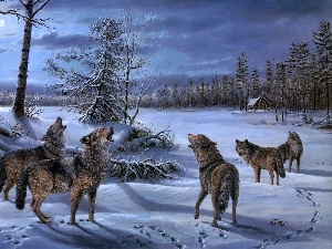 howl, winter, Wataha, Mary Pettis, wolves