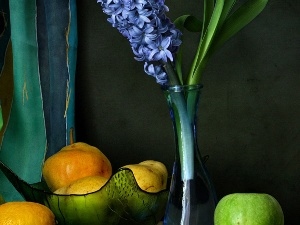 hyacinth, bowl, bowl, Fruits