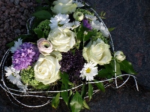 Heart, hyacinth, Margaret, Flowers, Valentine