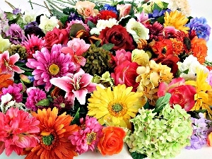 Hyacinths, gerberas, roses, bouquet, lilies, flowers