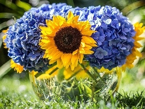hydrangeas, Sunflower, bouquet, flowers