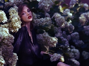 hydrangeas, make-up, girl, model