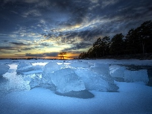 ice, forest, lumps, west, winter, sun