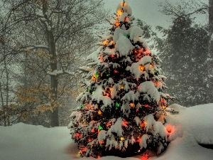 illuminated, snow, trees, christmas tree, viewes