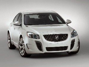 inlets, air, Buick Regal GS