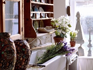 Irises, Flowers, interior, tap