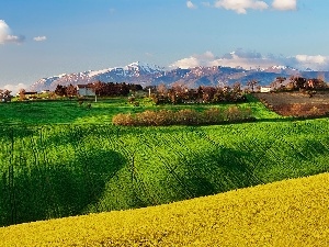 Italy, Mountains, Spring, field