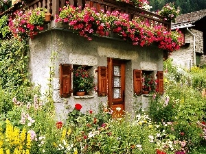 ivy, garden, floral, Stone, geraniums, Houses