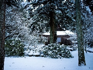 Japan, Home, winter, forest