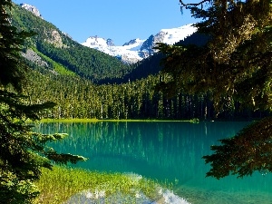 Joffre, Mountains, lake, Canada, woods