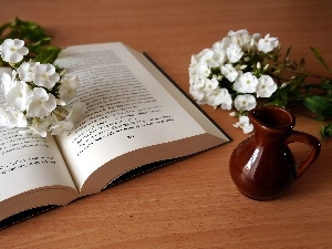 jug, phlox, Book, White