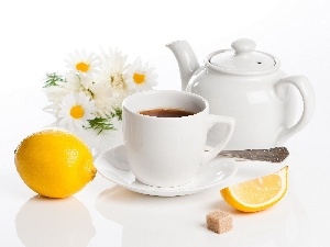 jug, Lemon, tea, cup, daisy