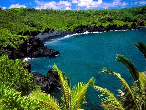 Palms, jungle, sea