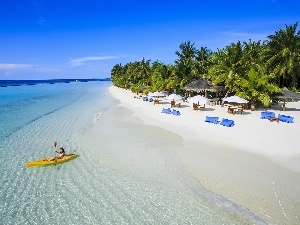 Kayak, Palms, sea, Beaches