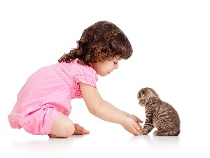 girl, kitten, small