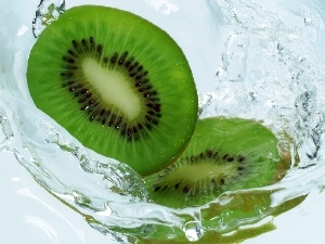 kiwi, bath