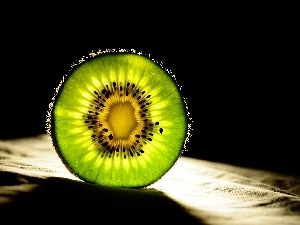 kiwi