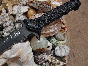 knife, Shells