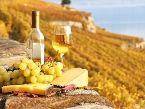 knife, Yellow, Grapes, Wine, cheese