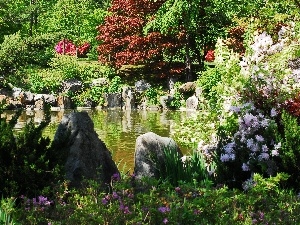 Korea, VEGETATION, Garden, Pond Water