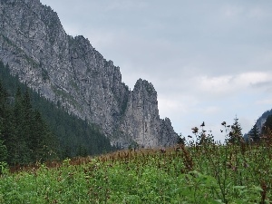 Koscieliska Valley, peaks, Tatras