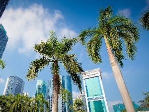 Kuala Lumpur, skyscraper, Malaysia