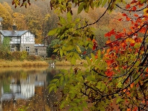 lake, house, autumn, woods