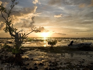 lake, trees, dawn, Boat, dry