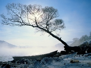 Fog, lake, Boat