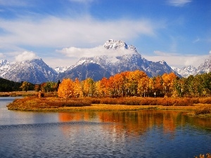 forest, lake, Mountains