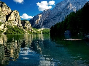 forest, lake, rocks