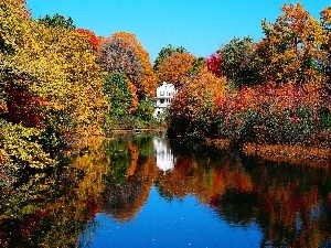 lake, forest, Home, autumn