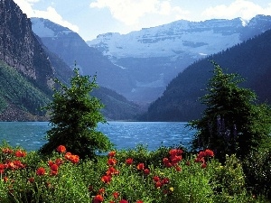 Mountains, lake, papavers