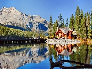 lake, Restaurant, Mountains, woods