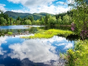 reflection, lake, forest, Scotland, Sky, England, Mountains