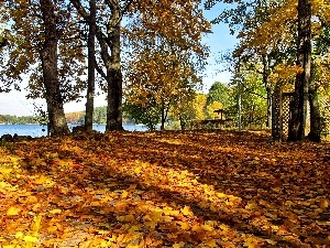 lake, clones, autumn, shadows, Leaf