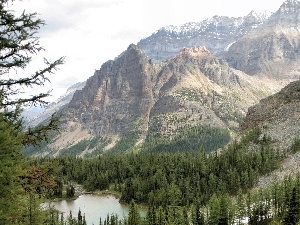 woods, lake, Mountains