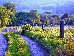 landscape, fence, Field, Way