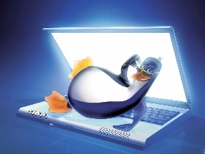 laptop, Linux