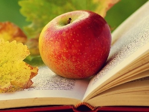 leaf, Autumn, Apple, Book