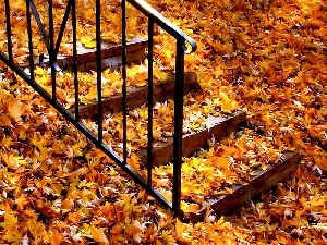 Autumn, Leaf, Stairs